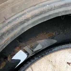 DENGUE> Continua a busca dos criadouros do mosquito Aedes aegypti em Cruz Alta