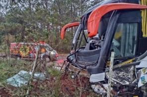 SETE FERIDOS: Ônibus é atingido por árvore na RS-463 em Tapejara 