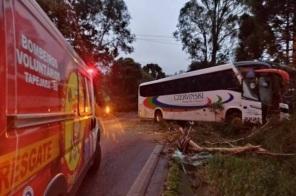 SETE FERIDOS: Ônibus é atingido por árvore na RS-463 em Tapejara 
