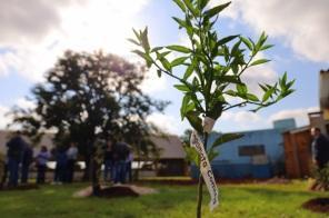Projeto Cultivando Saberes busca estimular criação de áreas verdes nas escolas