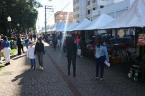 Bom público prestigiou a Feira do Empreendedorismo, de artesanato e mateada