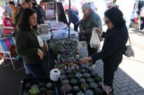 Bom público prestigiou a Feira do Empreendedorismo, de artesanato e mateada