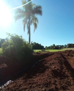 Brigada Militar flagra supressão de vegetação nativa em Condor