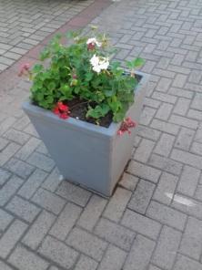 Jovens quebram vaso de decoração do calçadão de Cruz Alta