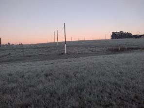 Temperatura negativa e geada nesta madrugada em Cruz Alta