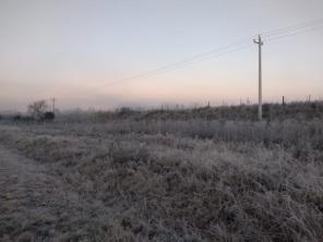 Temperatura negativa e geada nesta madrugada em Cruz Alta