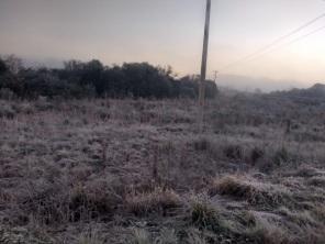 Temperatura negativa e geada nesta madrugada em Cruz Alta