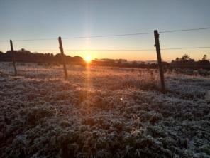 Temperatura negativa e geada nesta madrugada em Cruz Alta