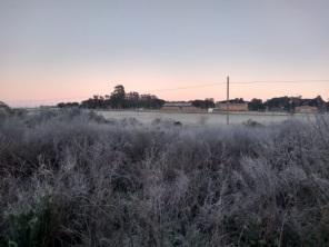 Temperatura negativa e geada nesta madrugada em Cruz Alta