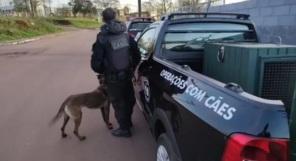 Polícia Civil, com apoio da BM, apreende 7 armas de fogo em Cruz Alta