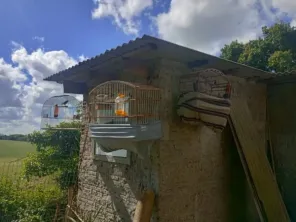 Sete pássaros silvestres são resgatados de cativeiro ilegal em Cruz Alta