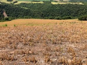 Defesa Civil contabiliza 55 munícipios gaúchos em situação de emergência