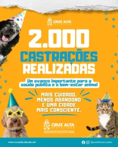 Centro de Bem-Estar Animal ultrapassa 2 mil castrações em Cruz Alta