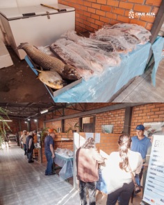 29ª FEIRA DO PEIXE>Abertura oficial foi quarta e hoje segue durante todo dia