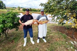 Venda de pescado na Semana Santa no RS deve passar de 2,5 mil toneladas