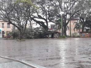 Temporal causa grandes estragos em Ijuí e região 