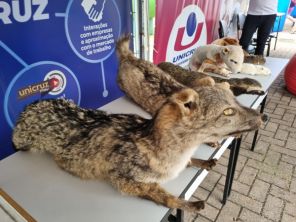 UNICRUZ celebra 37 anos com o Unicruz Pra Ti  na Praça Érico Veríssimo