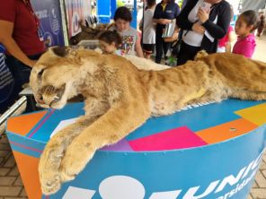 UNICRUZ celebra 37 anos com o Unicruz Pra Ti  na Praça Érico Veríssimo
