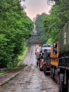Queda de árvores interditaram a BR 285, em Panambi; transito já está liberado