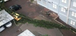 CRUZ ALTA: Rajadas de vento de 108km/h ,chuva forte e granizo na madrugada
