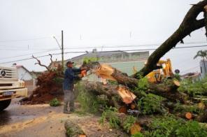 Lonas estão sendo distribuídas para moradores atingidos pela forte chuva 