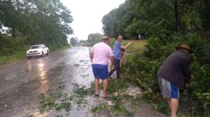 Temporal provoca destelhamentos e quedas de árvores em Cruz Alta