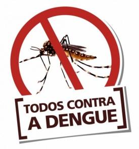 O Que fazer em 10 minutos para combater a dengue