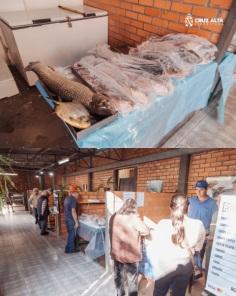 29ª FEIRA DO PEIXE>Hoje é o último dia com atividades até o meio-dia
