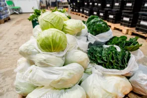 MERENDA ESCOLAR> Cruz Alta investe R$ 948 mil por ano na agricultura familiar