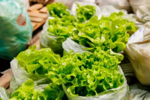 MERENDA ESCOLAR> Cruz Alta investe R$ 948 mil por ano na agricultura familiar