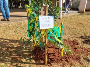 Campanha de Plantio de Árvores Mobiliza Cruz Alta com Presença de Autoridades