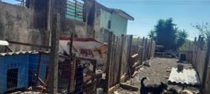  Canil de Cruz Alta está em situação desesperadora diz a proteção animal 