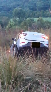 Homem de 66 anos morre após colisão com animal na BR-158, em Pejuçara