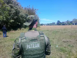 PATRAM> Buscas por onça-parda são realizadas no Bairro Abegay