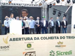 Evento em Cruz Alta abre oficialmente a colheita de trigo no estado