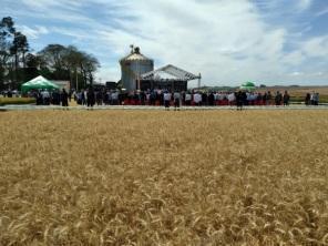 Evento em Cruz Alta abre oficialmente a colheita de trigo no estado