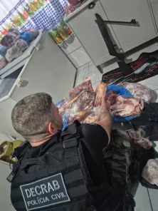 DECRAB de Cruz Alta combate abigeato e detém suspeito em Panambi