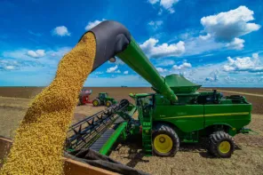 Produção de soja no estado deve chegar a 18,9 milhões de toneladas, diz Conab