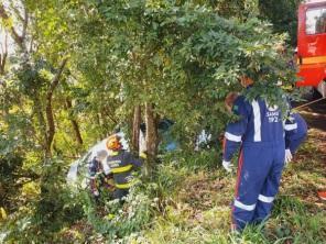 Acidente do tipo saída de pista na BR 285 em Panambi na manhã da terça