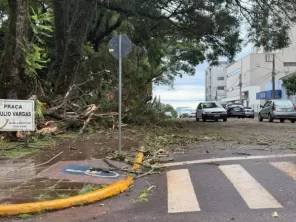 VENDAVAL> Palmeira das Missões enfrenta impactos severos após temporal