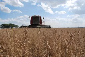 RS> Safra de grãos deve alcançar 38,9 milhões de toneladas em 25/26 diz Conab