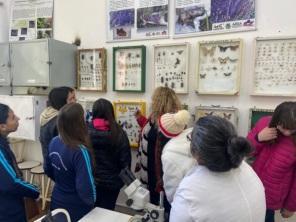 Visitas Guiadas: Unicruz recebe estudantes terceiranistas e de cursos técnicos