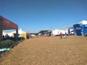 Dia de Campo da C. Vale traz novidades em tecnologia para produtores