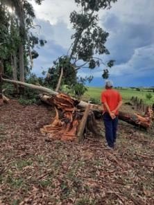 Chuva da segunda com alguns danos materiais no interior de Fortaleza dos Valos