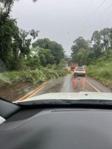 Temporal em Cruz Alta teve rajada de vento de 141 km/h e alguns estragos 