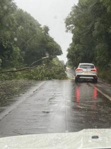 Temporal em Cruz Alta teve rajada de vento de 141 km/h e alguns estragos 