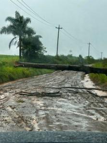 Temporal em Cruz Alta teve rajada de vento de 141 km/h e alguns estragos 