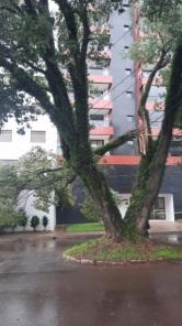Temporal em Cruz Alta teve rajada de vento de 141 km/h e alguns estragos 