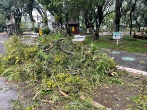 TEMPORAL: Pejuçara teve muitos estragos devido o vento na madrugada 