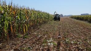  Patrulha Agrícola e o fortalecimento da agricultura familiar em Cruz Alta 